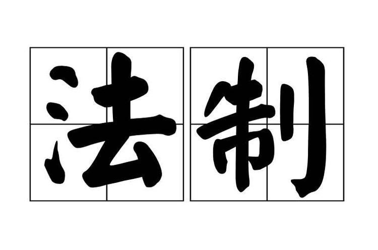 中国法制可以用两句话概括：严格立法，普遍违法，选择执法